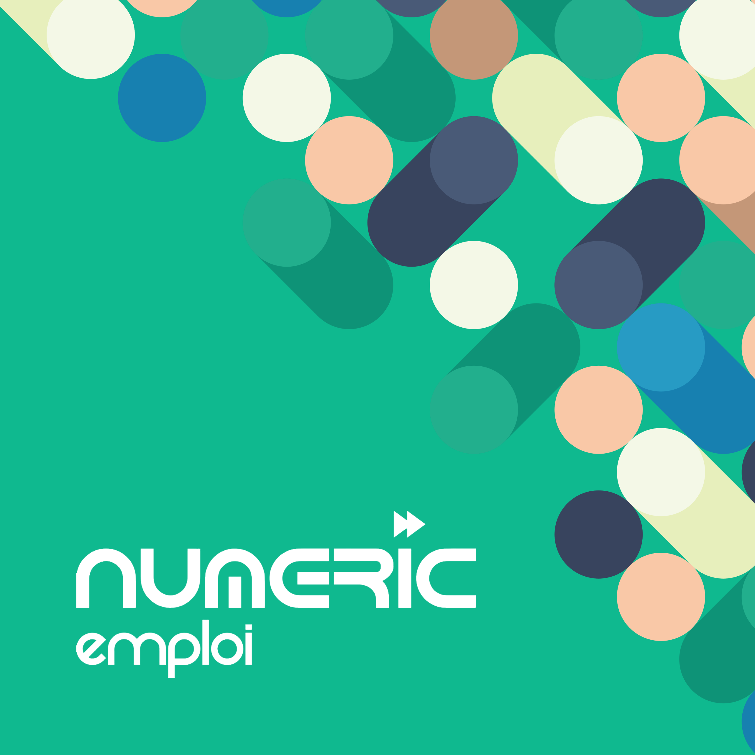 Numeric Emploi